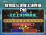 背包乱斗正式上线！游戏时间大揭秘💥🎮