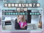 💥《完蛋！我被美女包围了》角色全解析！👑💖🎮
