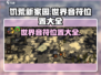 饥荒新家园🔥企鹅世界音符位置全揭秘❗