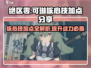 绝区零可琳核心技加点🔥超强攻略⚡