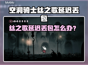 🎮空洞骑士丝之歌延迟丢包？速看解决办法！截图1