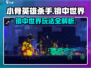 小骨英雄杀手⚡镜中世界玩法揭秘🔥游戏技巧全攻略！