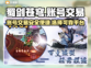 🔥蜀剑苍穹：账号交易APP大揭秘！👇