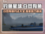 钓鱼星球白斑狗鱼🔥超全攻略分享！轻松上手💯