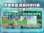 梦想家园✨泡泡玛特钓鱼玩法大揭秘！🔥超全攻略等你来拿！