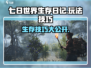 七日世界生存日记🔥玩法技巧大公开！新手必看👇