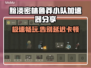 黯淡密林鲁莽小队加速器分享，游戏流畅必备！🔥🎮