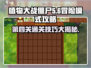 植物大战僵尸🔥第四关攻略来了！快收藏✔