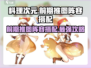 料理次元🔥前期推图阵容搭配攻略，这样配队轻松过关！