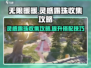 无限暖暖💡灵感露珠收集秘籍💎