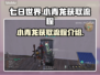 七日世界小青龙获取全流程攻略🔥超简单！
