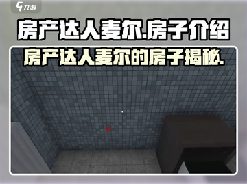 🎮麦尔的房子大揭秘！豪宅细节曝光💥截图1