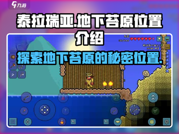 泰拉瑞亚💎地下苔原位置曝光！速来探索神秘宝藏截图1
