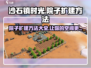 《沙石镇时光》院子扩建秘籍🔥轻松扩大你的家园！