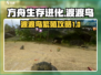 方舟生存进化：渡渡鸟繁殖攻略🔥DTD