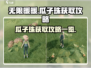 无限暖暖🔥瓜子珠获取秘籍💎轻松搞定！