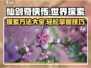 仙剑世界探索🔥超简单玩法技巧分享！
