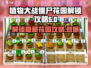 植物大战僵尸杂交版花园解锁🔥秘密基地等你来探索！ Zombies🎉
