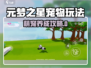 元梦之星宠物玩法全攻略🐾超萌养成指南！