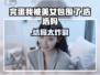 《完蛋！被美女包围了》浩浩妈结局揭秘💥