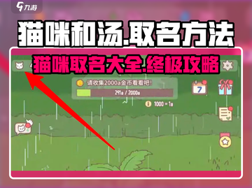 猫咪和汤游戏🔥给猫取名绝招在这里！🐾截图1
