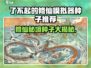 《了不起的修仙模拟器》爆火种子推荐！🔥