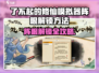 《了不起的修仙模拟器》阵眼解锁秘籍💥