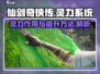 仙剑世界🔥灵力飙升秘籍，快速提升战力！