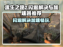 求生之路2闪退？加速器推荐🔥🎮