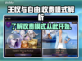 王权与自由💰：收费模式大揭秘！🔥