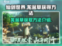 仙剑世界🔥超稀有龙涎草获取攻略💡