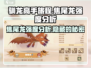 🔥驯龙高手旅程：焦尾龙强度分析dragon必看！