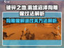 破碎之地🔥雾墟沼泽狗雕像通关秘籍🎉