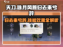 《咏月风雅·归去来兮辞》技能大曝光！🎮🔥