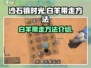 沙石镇时光🔥白羊带走方法大公开！💎