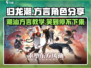 归龙潮方言角色大揭秘！🔥游戏迷必看！