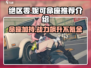 绝区零妮可命座🔥超详细推荐介绍！玩游戏必看👇