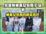 完蛋我被美女包围了手游安装地址来了💥🔥