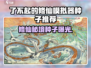 《了不起的修仙模拟器》🔥神级种子推荐！✨
