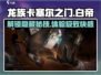 龙族卡塞尔之门：白帝之隙🔥玩法全揭秘！
