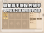 🚨驯龙高手旅程控制手🔥超全介绍来啦🎉