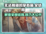 《无法触碰的掌心》全结局通关攻略🔥葵线 endings 必看！