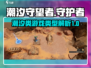 潮汐守望者🔥超神游戏类型大起底！🎮