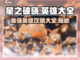 星之破晓🔥英雄大全与介绍，助你称霸战场！