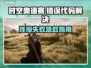 💥时空奥德赛错误代码100150🔥