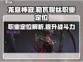 龙息神寂：勒瓦妮丝职业定位揭秘🔥🎮