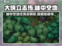 《大侠立志传》林中空地任务🔥超全攻略来啦！