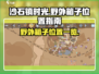 沙石镇时光💎野外箱子位置全攻略✅