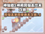 神仙道3🔥神阙风物志第四章过关攻略🌟