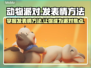 动物派对游戏🔥发表情方法大揭秘！🎉